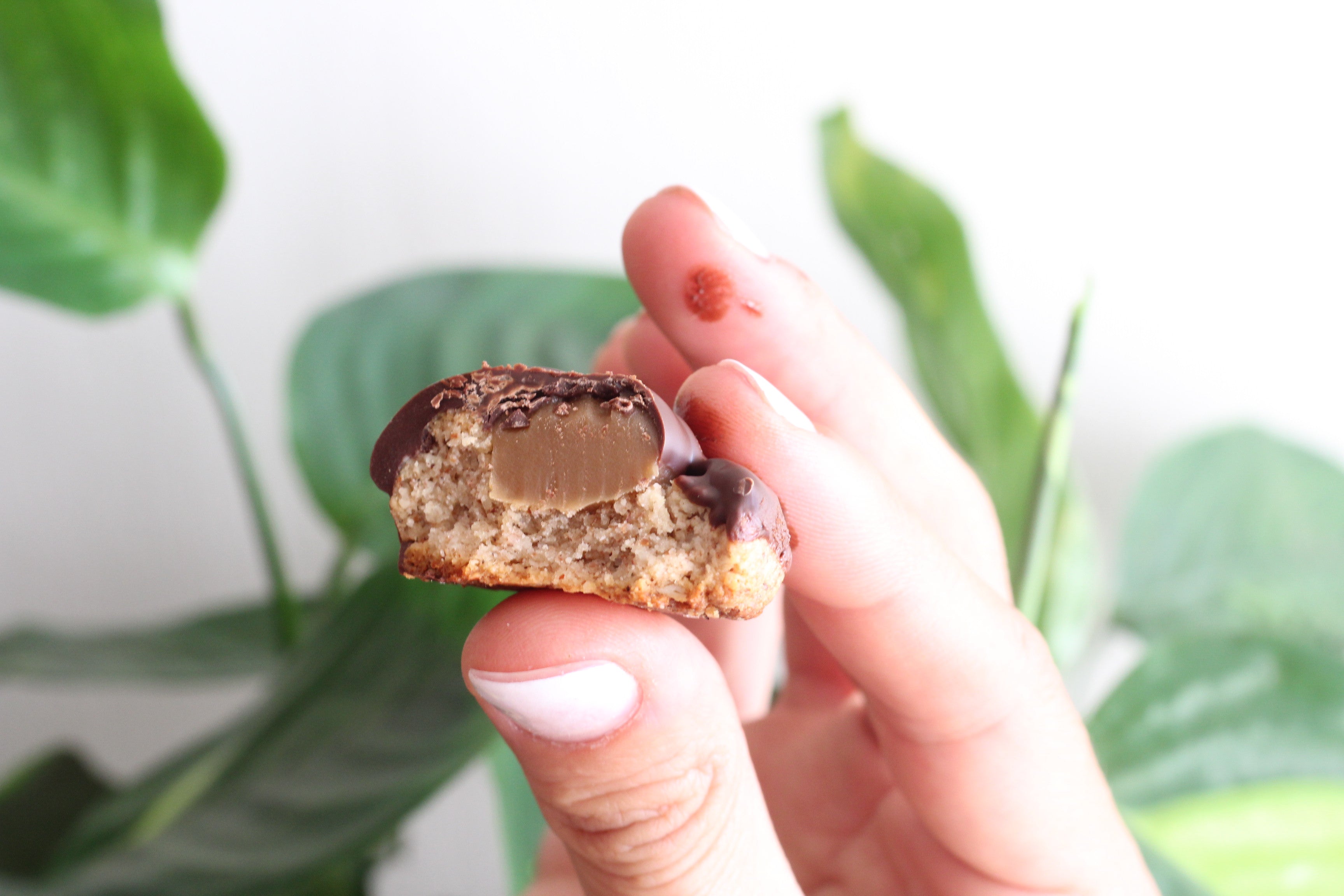 Tagalongs - Mercado Silvestre