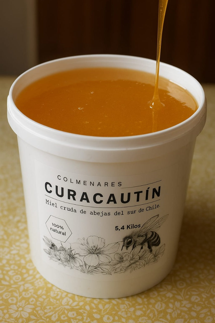 Miel Multifloral de Curacautín 5,4kg - Colmenares Curacautín