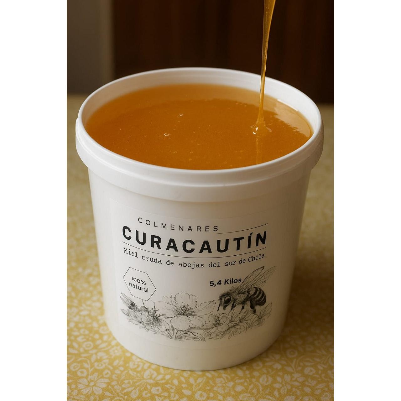 Miel Multifloral de Curacautín 5,4kg - Colmenares Curacautín