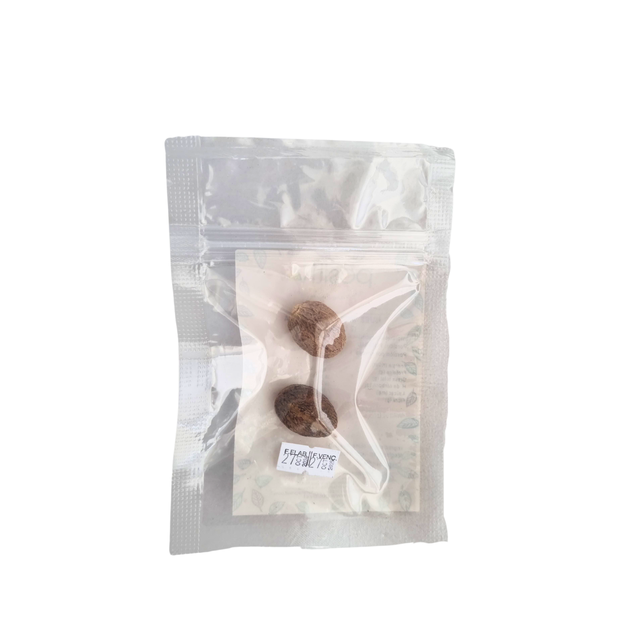 Nuez Moscada Entera 2 Unidades - Positiv-Especias y Condimentos-Mercado Silvestre