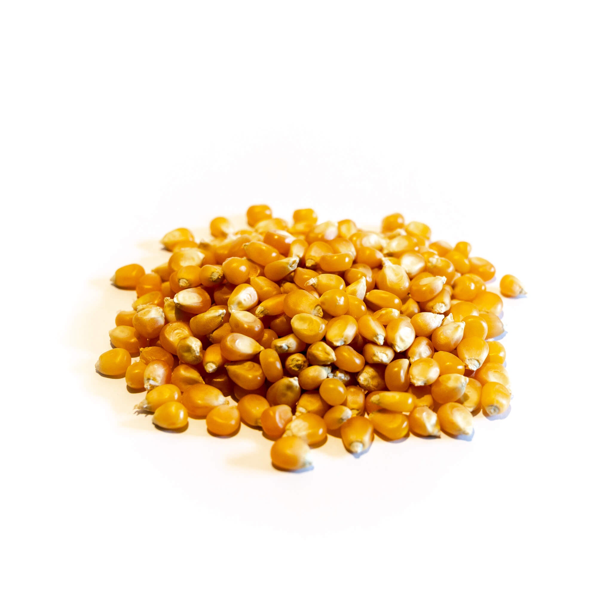 Maíz Curagua (Pop Corn) 1kg-Arroz y Granos-Mercado Silvestre