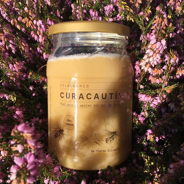 Miel Multifloral de Curacautín 1kg - Colmenares Curacautín-Endulzantes-Mercado Silvestre