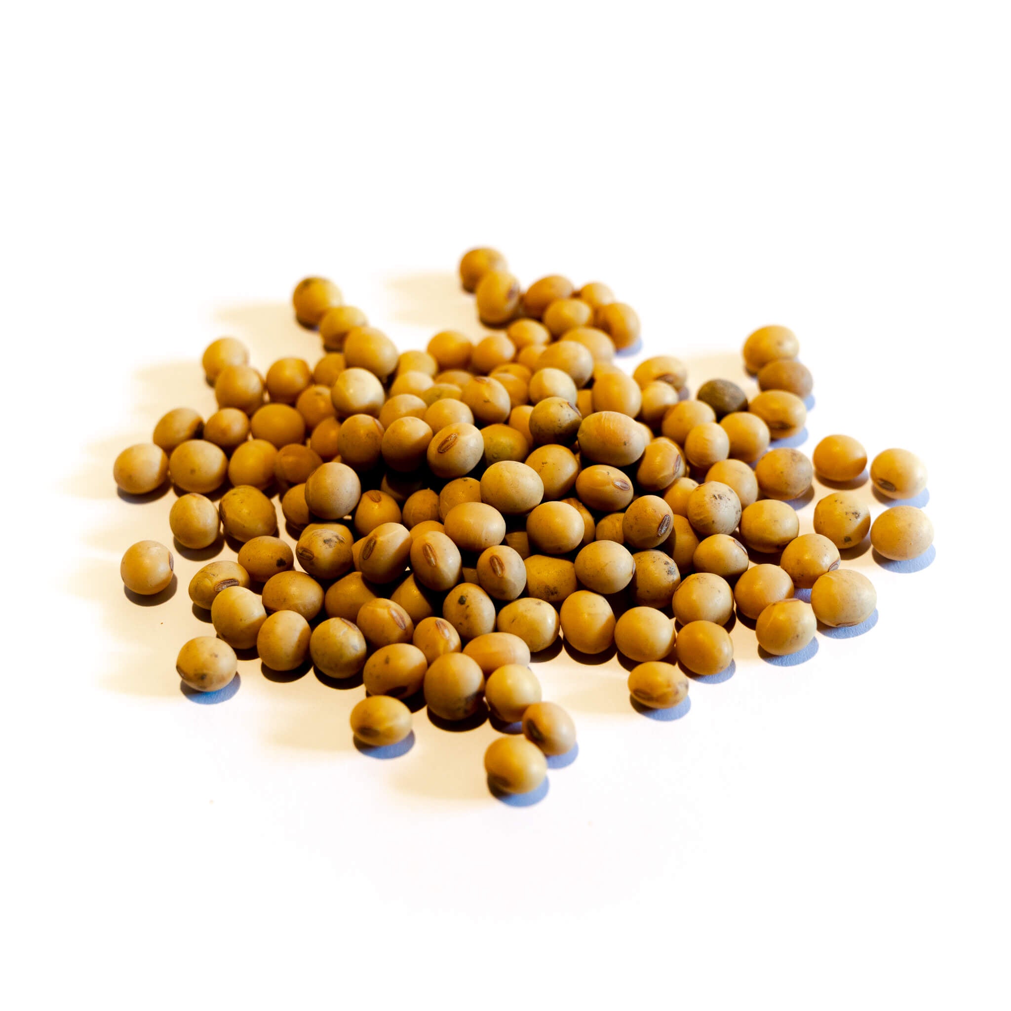 Poroto de Soja 1kg-Legumbres-Mercado Silvestre