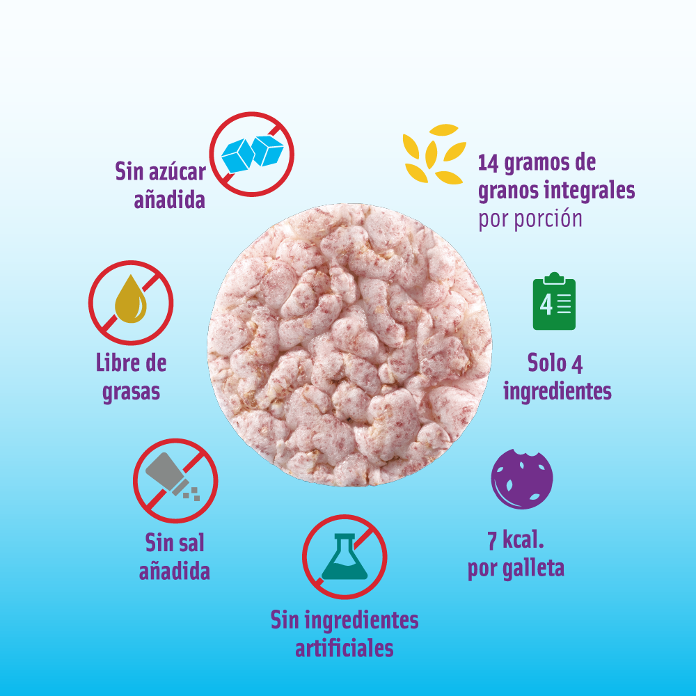 Galletitas de Arroz Integral Arándano 16gr -Sin Gluten - Mizos