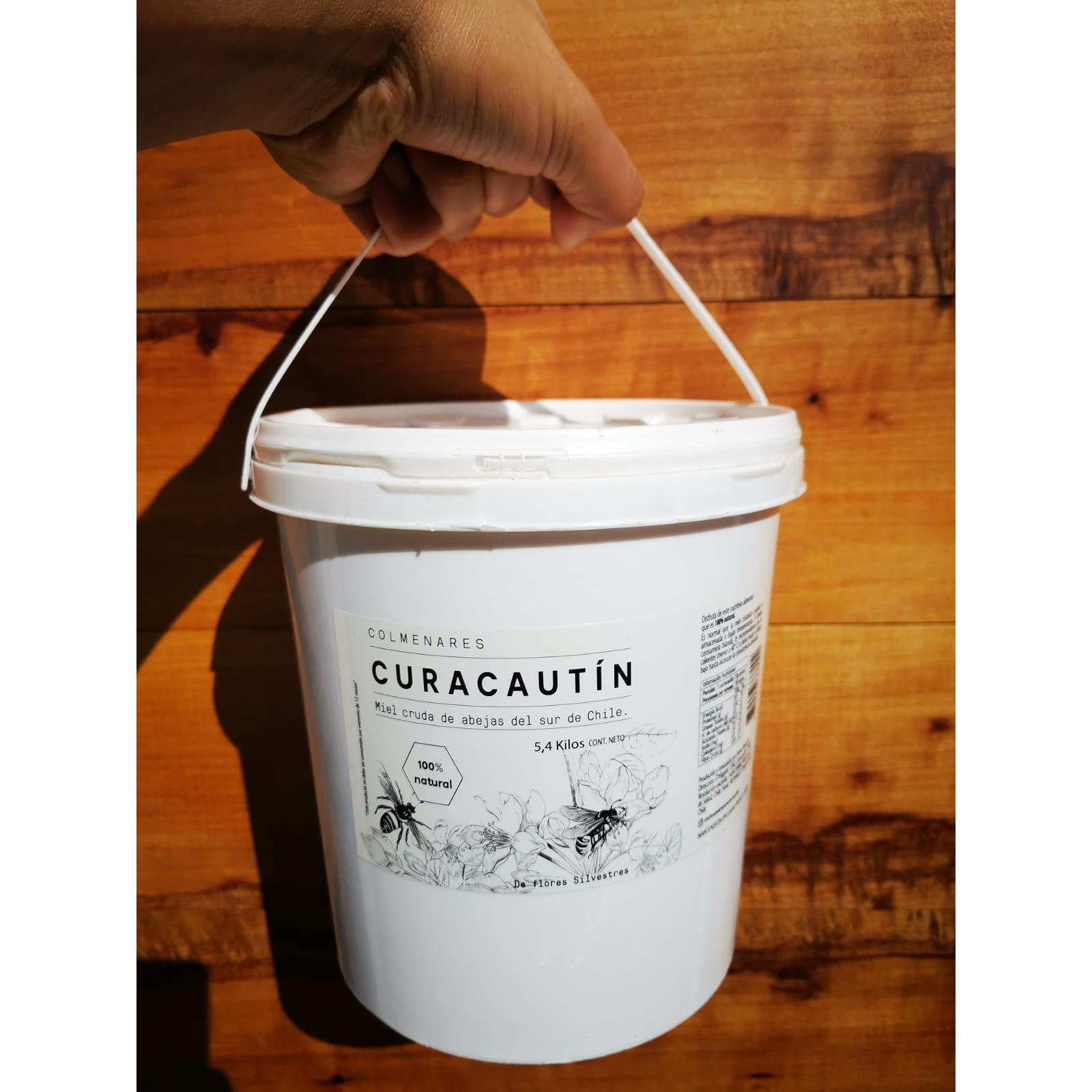 Miel Multifloral de Curacautín 5,4kg - Colmenares Curacautín