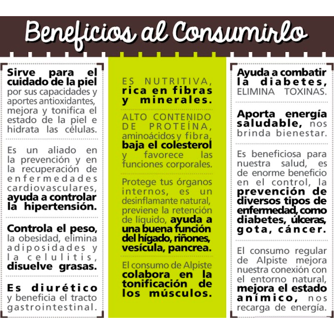 Alpisan (Alpiste Descascarado y Molido) Listo 500gr - Positiv